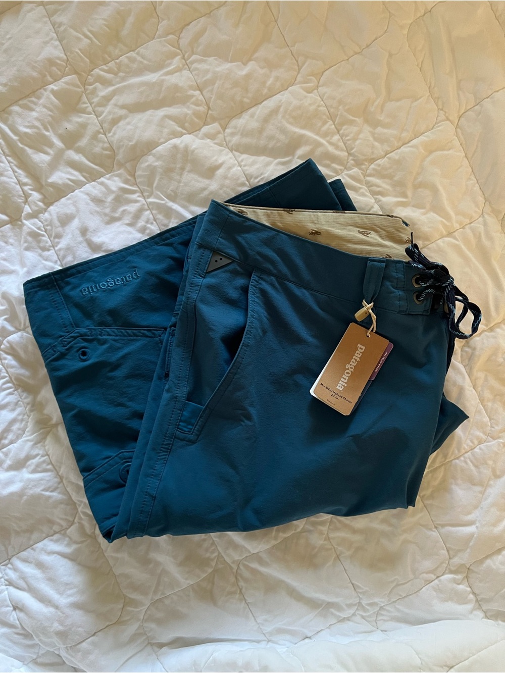 Patagonia Men’s Teal Cargo Pants
